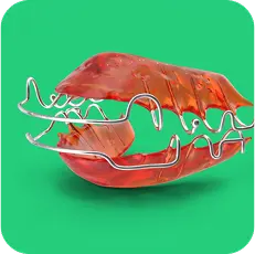 哈利固定器
