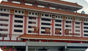 羅湖口岸過關