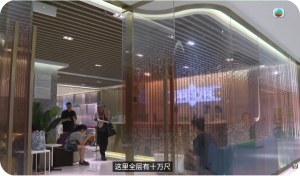 媒體廣泛報導